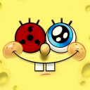 avatar kvlly