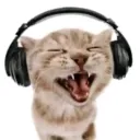 scxranq