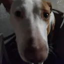 isabelelindona001 avatar