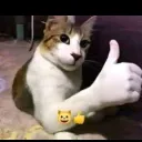 insano_pronuevobro23 avatar