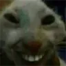 kchagians avatar