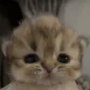 elmaspro_jeje123 avatar