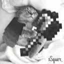 w1zox_.