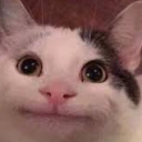 rivercitystateroleplay#0