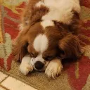 slipperyvrgames_09784 avatar