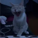 lazyisigma