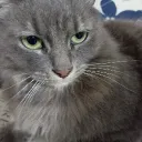 eoeo3o2o2o2o2 avatar