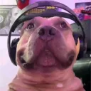 eldelas_empanadas avatar