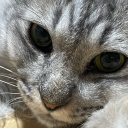 rozu0480 member profile picture