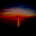 mcdonutht