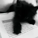 emii.dafuq