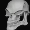 𝔽𝕣𝕒𝕟𝕜 ℤ𝕖 𝕊𝕜𝕖𝕝𝕖𝕥𝕠𝕟