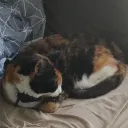 happynap