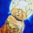 lasercat006.