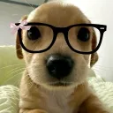 soymonsee._75616 avatar