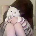 avatar ˚₊·—̳͟͞͞♡ ʏɛռɨʄɛʀ •.°