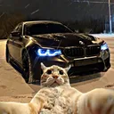 vemvet15__