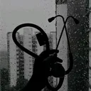 anonymus_201