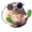 fellor#9058's avatar