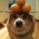 avatar jvais niata ta meuf