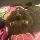 avatar ₛₒᵤₗ.👻