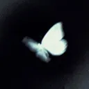 spazzpsd