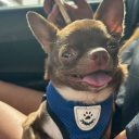 avatar 𝘈𝘮𝘪𝘵