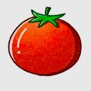 tomato096139