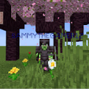 sammythegamer12_88205#0