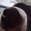 joaquinelpro039 avatar