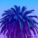samuelkay0300