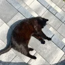 poskakane_