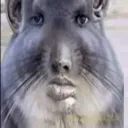 lostmyaccount0833 avatar