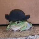 sapo_sergio