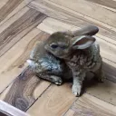 etitosdigital avatar