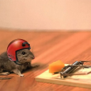 avatar TheKushVanMan