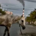 egyszarvuuu