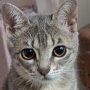 Kmnic member profile picture