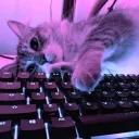 Аватар yragan0449_40495