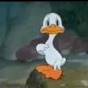 raeisthebestekitten