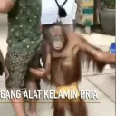 jungmengajung avatar