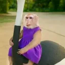 Аватар konysbobra_19444