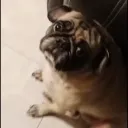 panchitoelmasbonito123