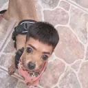 ifxzsy