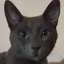 alejandro006477 avatar