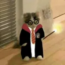 harry_james_catter avatar