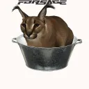 Аватар dalbanka41_83679