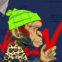 rappcollect