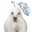 meletion2