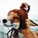 jamonconqueso0987 avatar